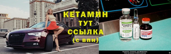 прущие грибы Снежинск