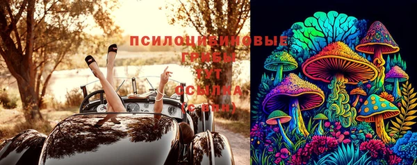 твердый Алексеевка