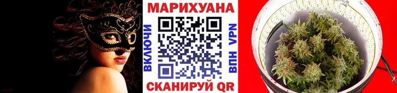 Бошки Шишки гибрид Макушино